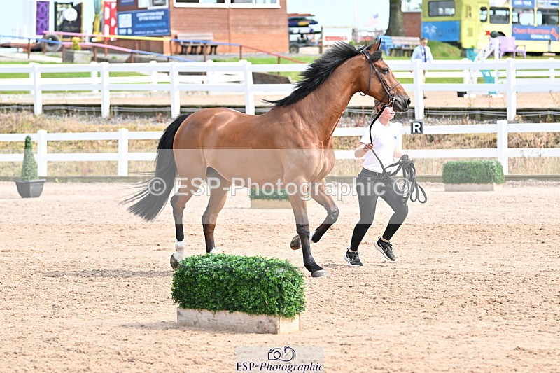 240717A-162311-03431 - Trot Up 4pm to 5pm