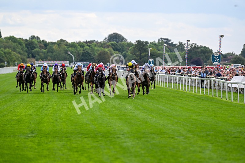 190826-Race 1-Air Force One-0634 - Race 1 13.50pm Hong Kong Jockey Club World Pool Handicap