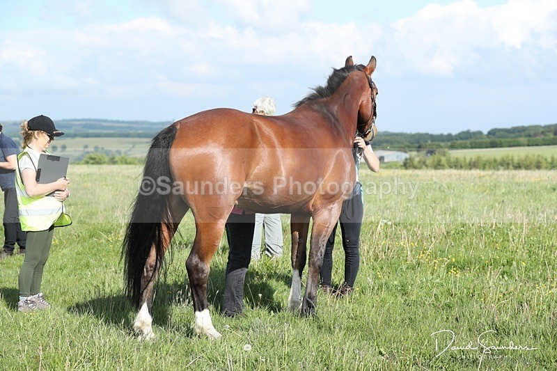 SPXX0031 - Friday vetting
