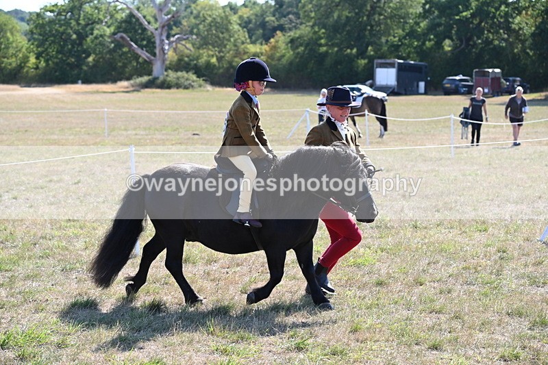 WJ6_7441 - Class 34 Judges Choice
