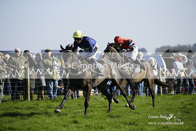 PtP 190322 740 - Wilton Hunt PtP Milborne St Andrew 19/03/22
