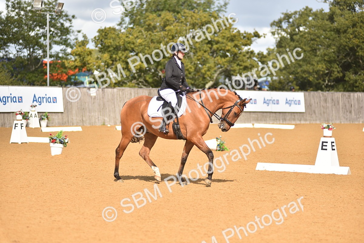 SBM_03306 - D4 - Small Tour Championship Intro 4