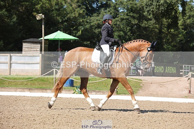 240719-104044-00767 - 223-Deborah_Randall-Sandy's_Bertie