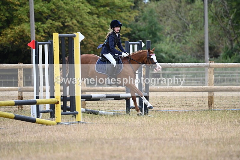 WJ6_0320 - Class 13 Novice Jumping 60cm