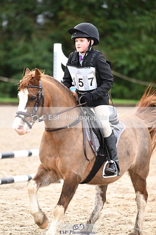 260222A-115100-00743 - 50cm All sections