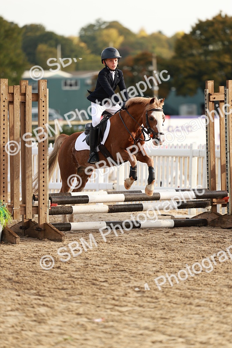 SBM_55526 - J11 - Junior Pony 50cm Championship