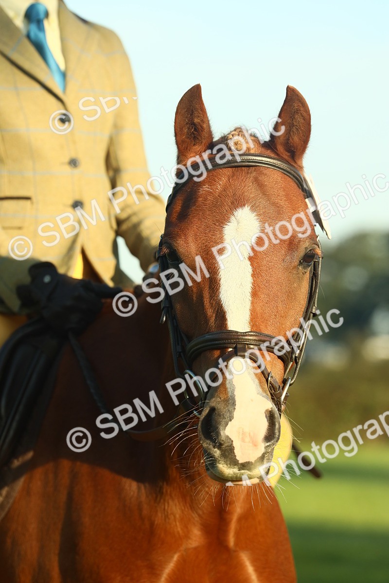 SBM_56639 - S36 - Starters Best Turnout
