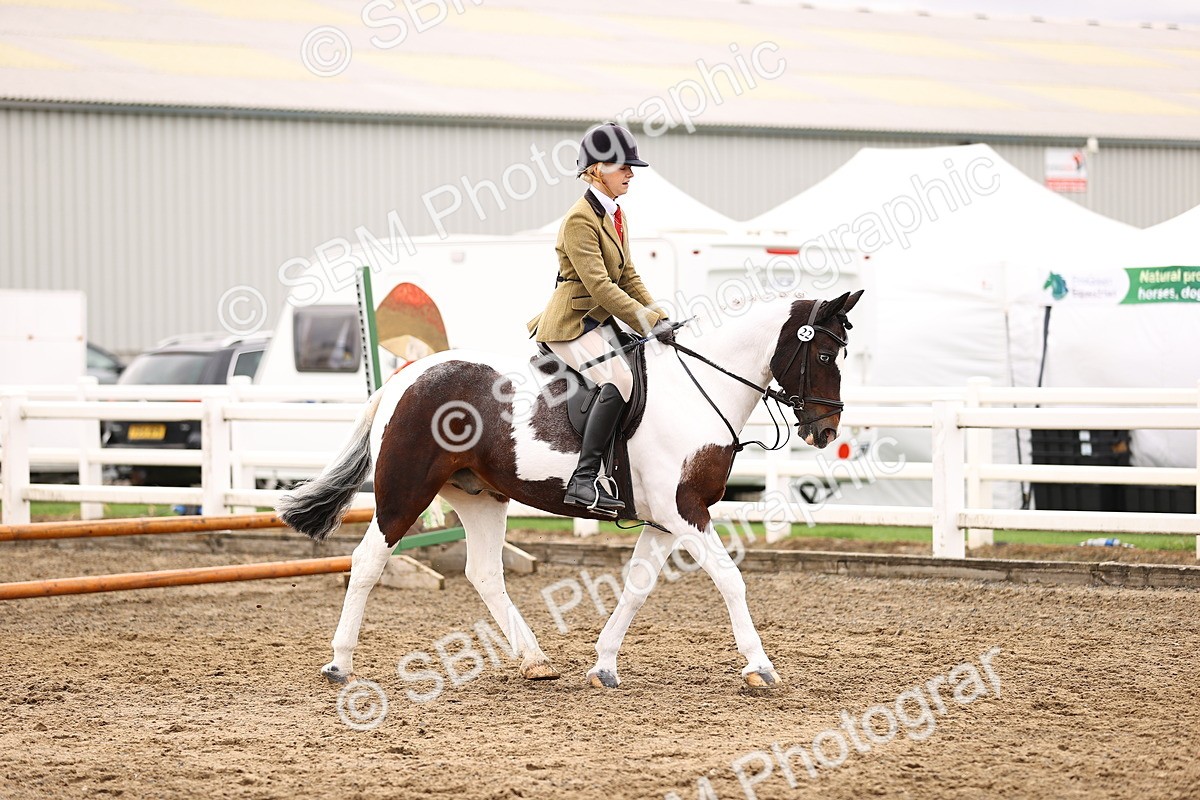 SBM_01341 - Class 54 - Riding Club Horse Pony