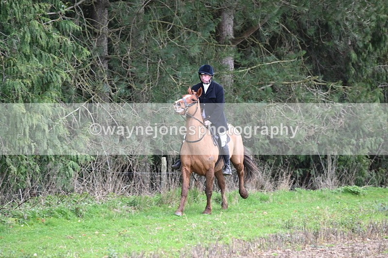 WJ6_9482 - Line Four