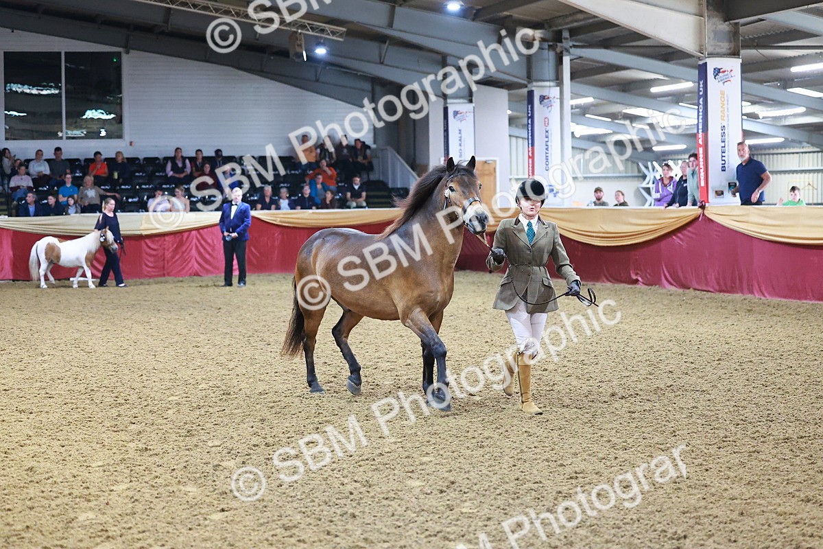 SBM_14720 - Class C - Novelty champ
