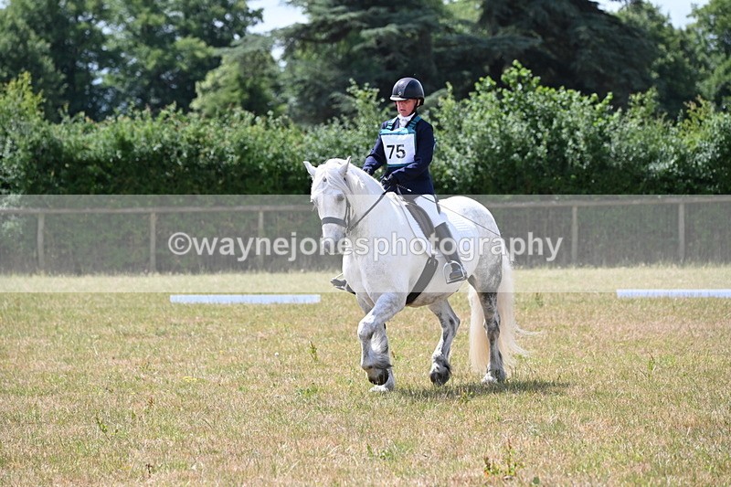 WJ6_3405 - Time 11:34 to 11:43