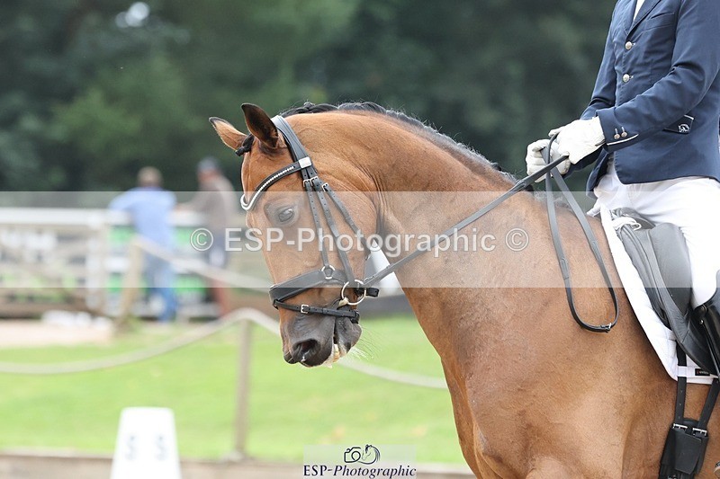 240810-104829-02739 - 101-Brendan.Tegg-King's.Nexus