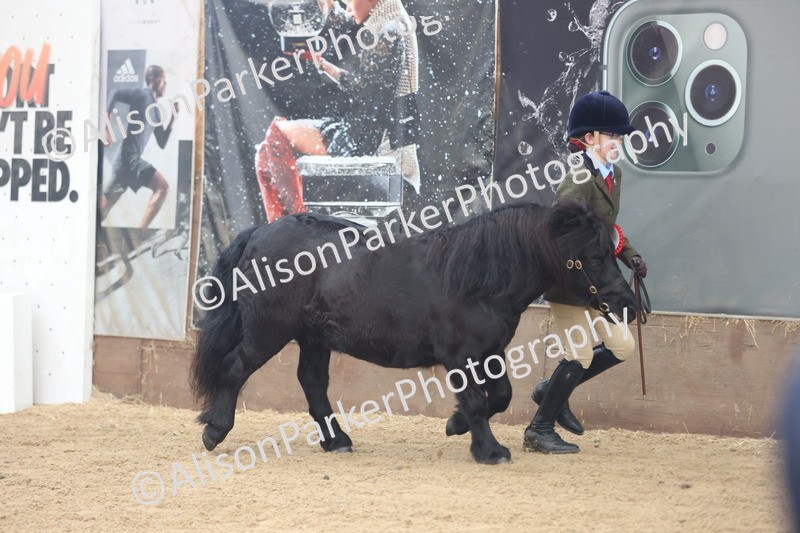 20251109-0158 - Class 8 - Young Handlers