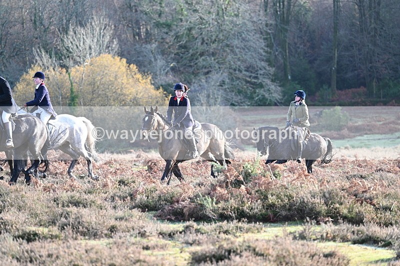 WJ7_7921 - Line 3 (no line 4 or 5)