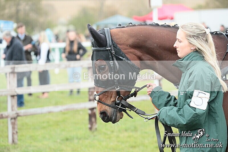 PtP 130425 349 - Edgecote Races 13/04/25