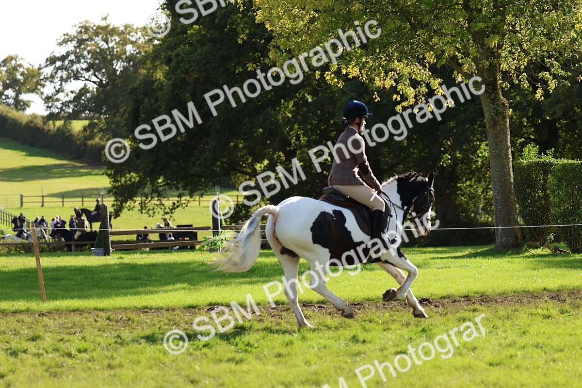 SBM_52412 - S13 - Pony Club Pony