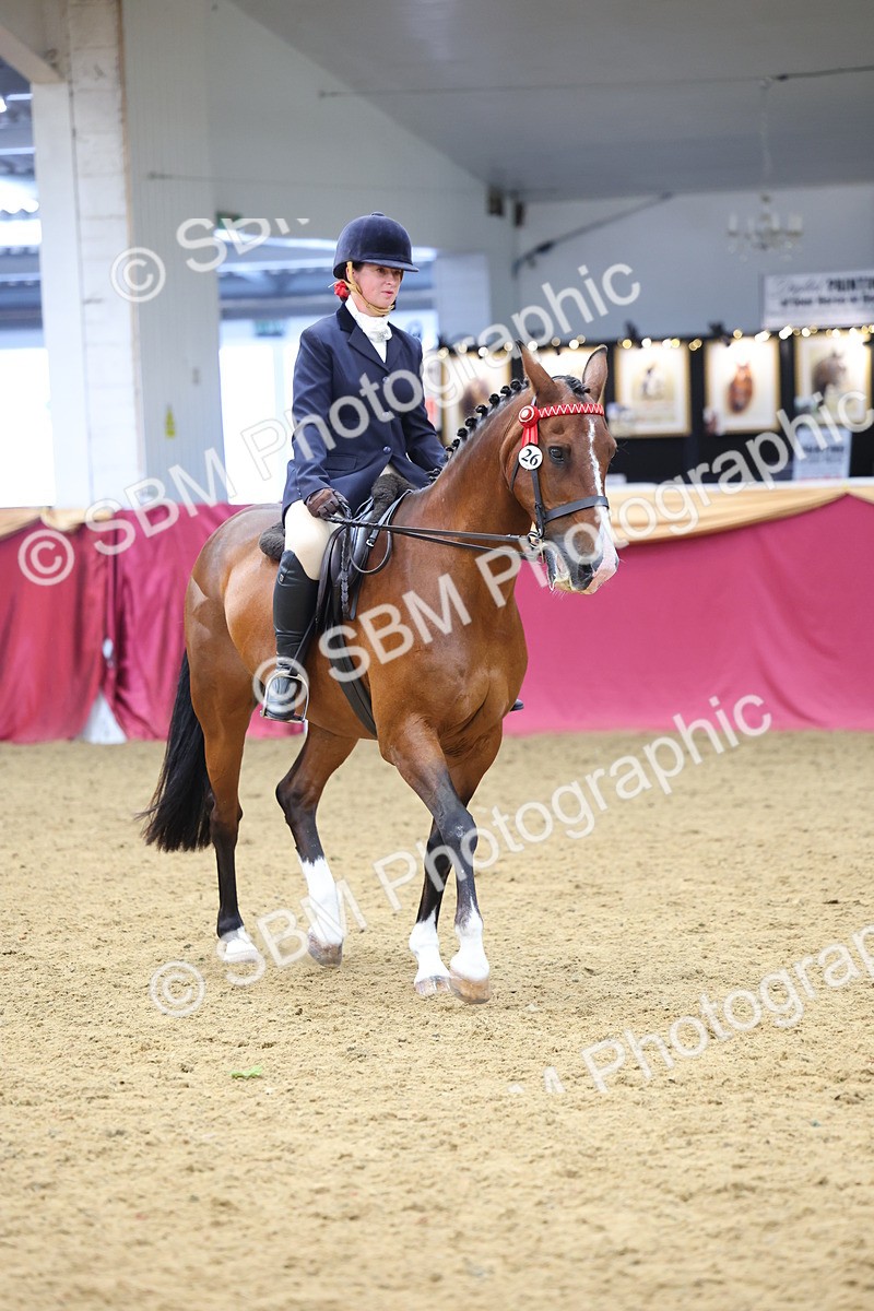 SBM_23754 - Class 904 - Supreme Final Ridden Diamond