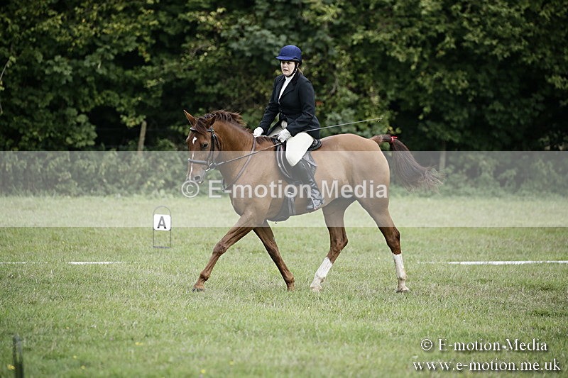 BVR090918 17 - BVRC Dressage and Show Jumping 09/09/18