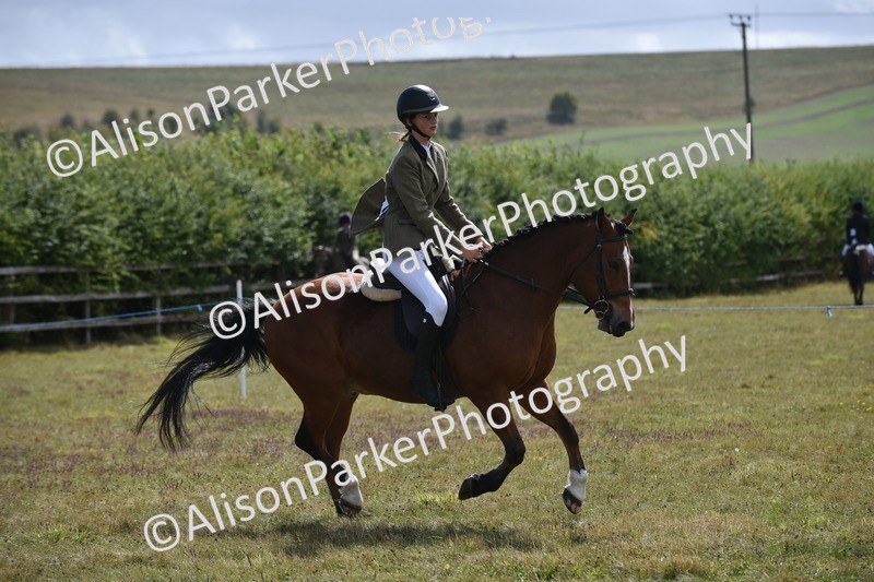 20250831-4015 - Class 12 - Working Hunter Pony 14.2hh and Under