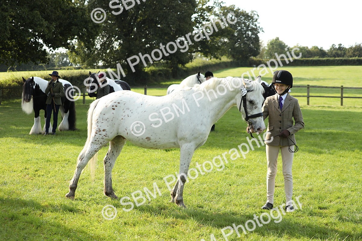 SBM_60953 - S43 - Coloured Pony In Hand