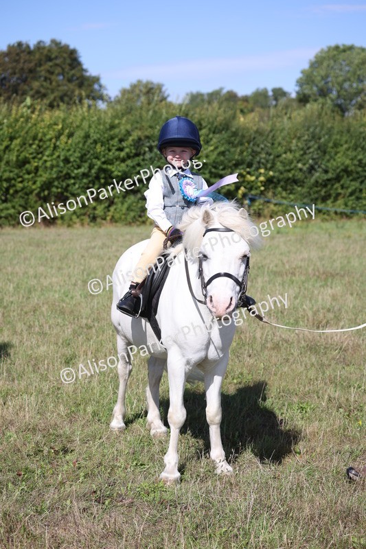 20260906-2337 - Class 16 - Family Pony