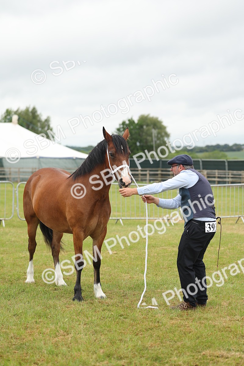 SBM_04830 - Class 50-57 - M&M Welsh Pony In Hand