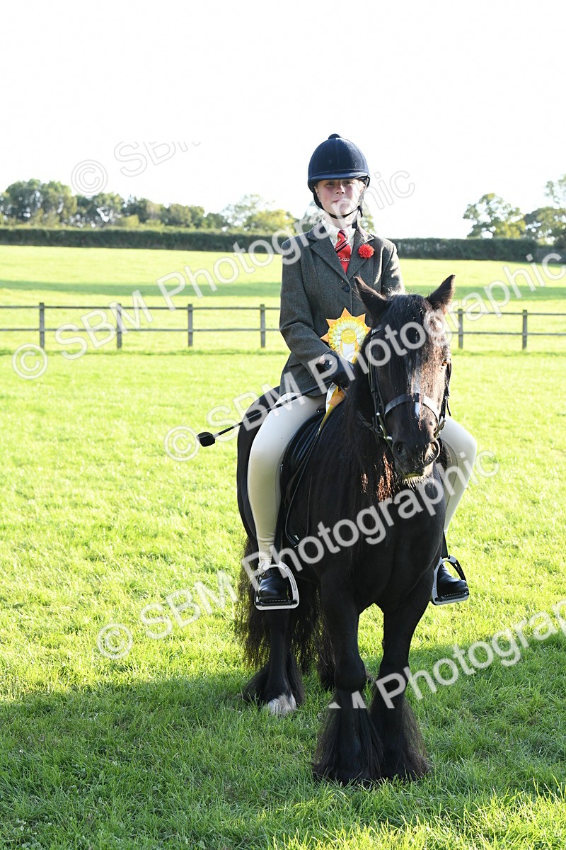 SBM_54172 - S23 - 1st Ridden Mountain & Moorland Pony