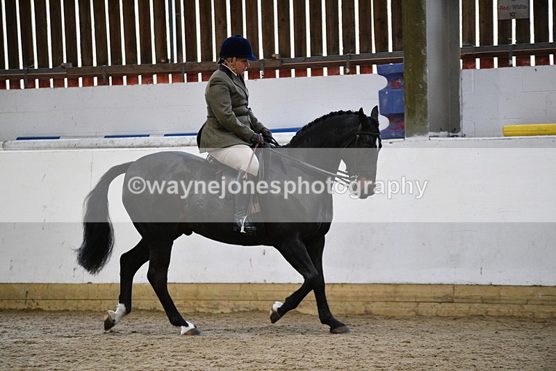 WJ5_7798 - Class 13 Ridden Part Breed