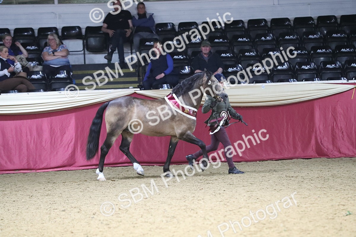 SBM_15450 - Class 501 M&M IH Supreme Final