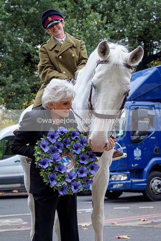 NGP_8147 - 2024 Animals in War Remembrance Gathering