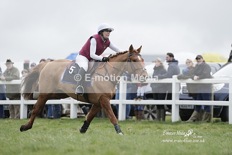 PtP 260323 0277 - New Forest Hounds Point-to-Point Larkhill 26/03/23