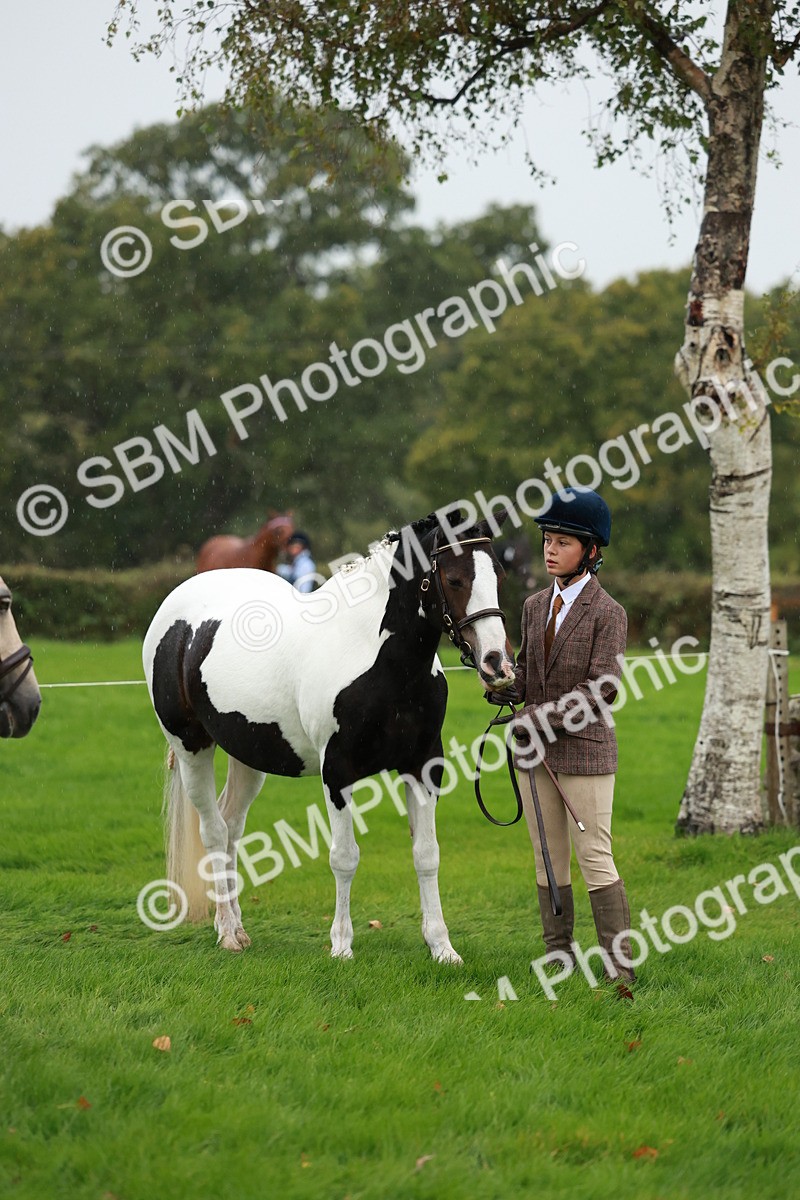 SBM_34903 - S10 - Best In Hand Horse & Pony