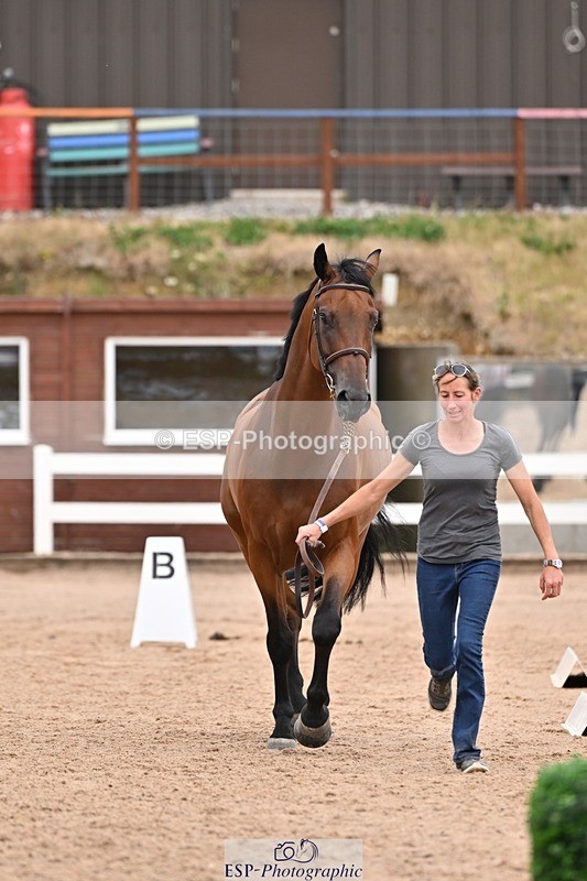250716-154944-02203 - Trot Up 3.30 to 4.30