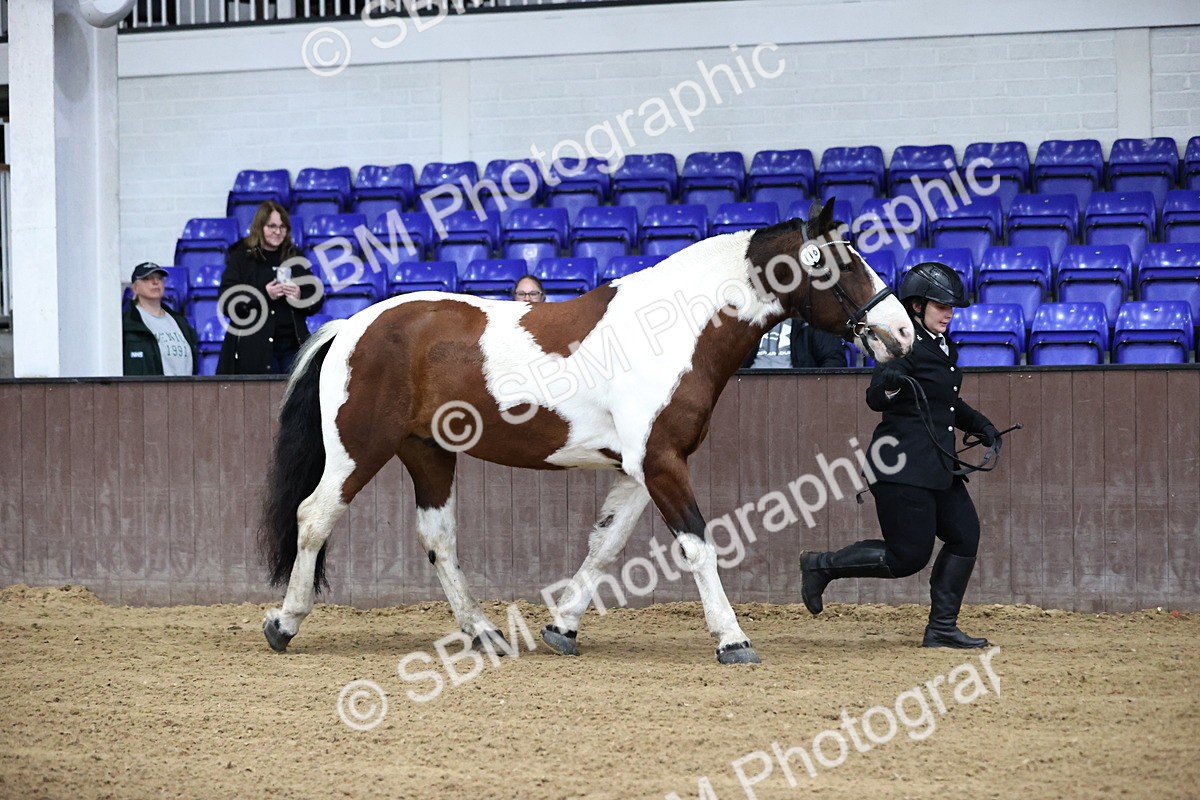 SBM_5259 - Class 32 - In Hand Cob Type