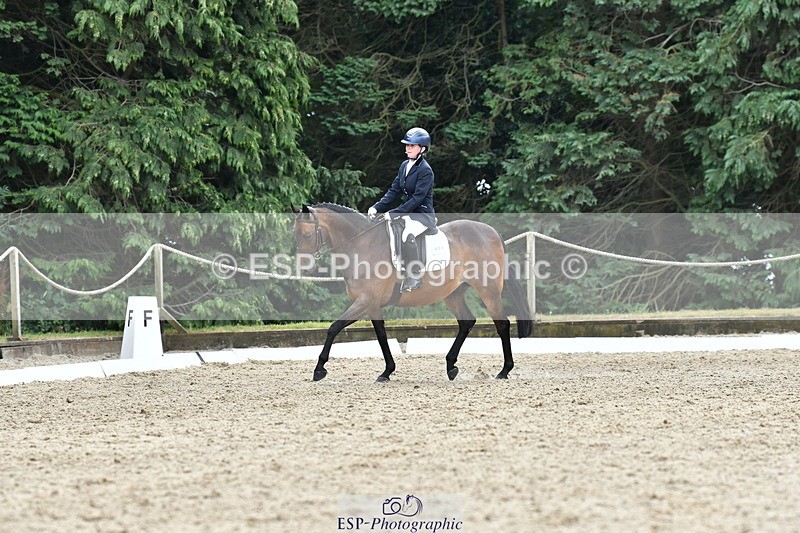 260801A-125035-04071 - Prelim Bronze Break - End