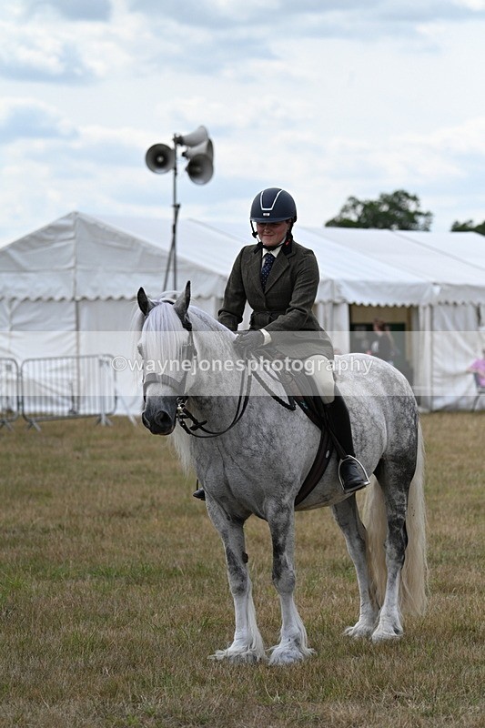 WJ7_5296 - Class 12 Ridden Cob