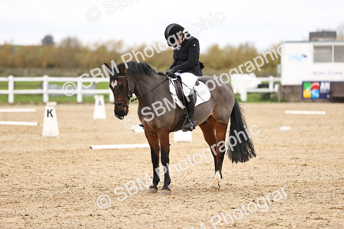 SBM_003535 - Class 11 - Elementary 1