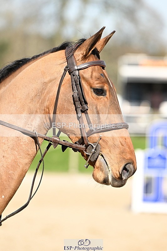 250301A-115830-00499 - Cls 02 80cm