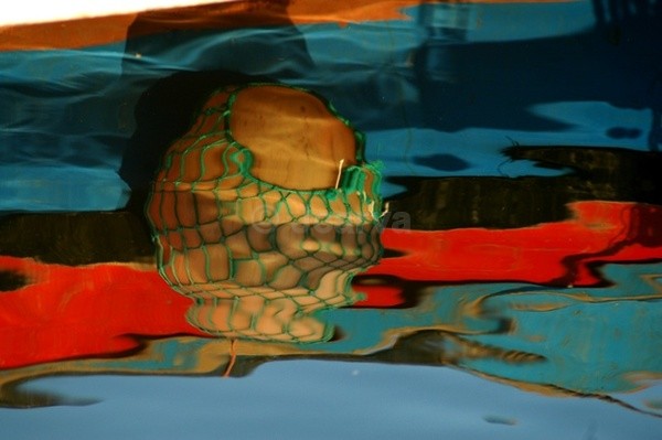 Buoy Water Reflection - Moliceiros
