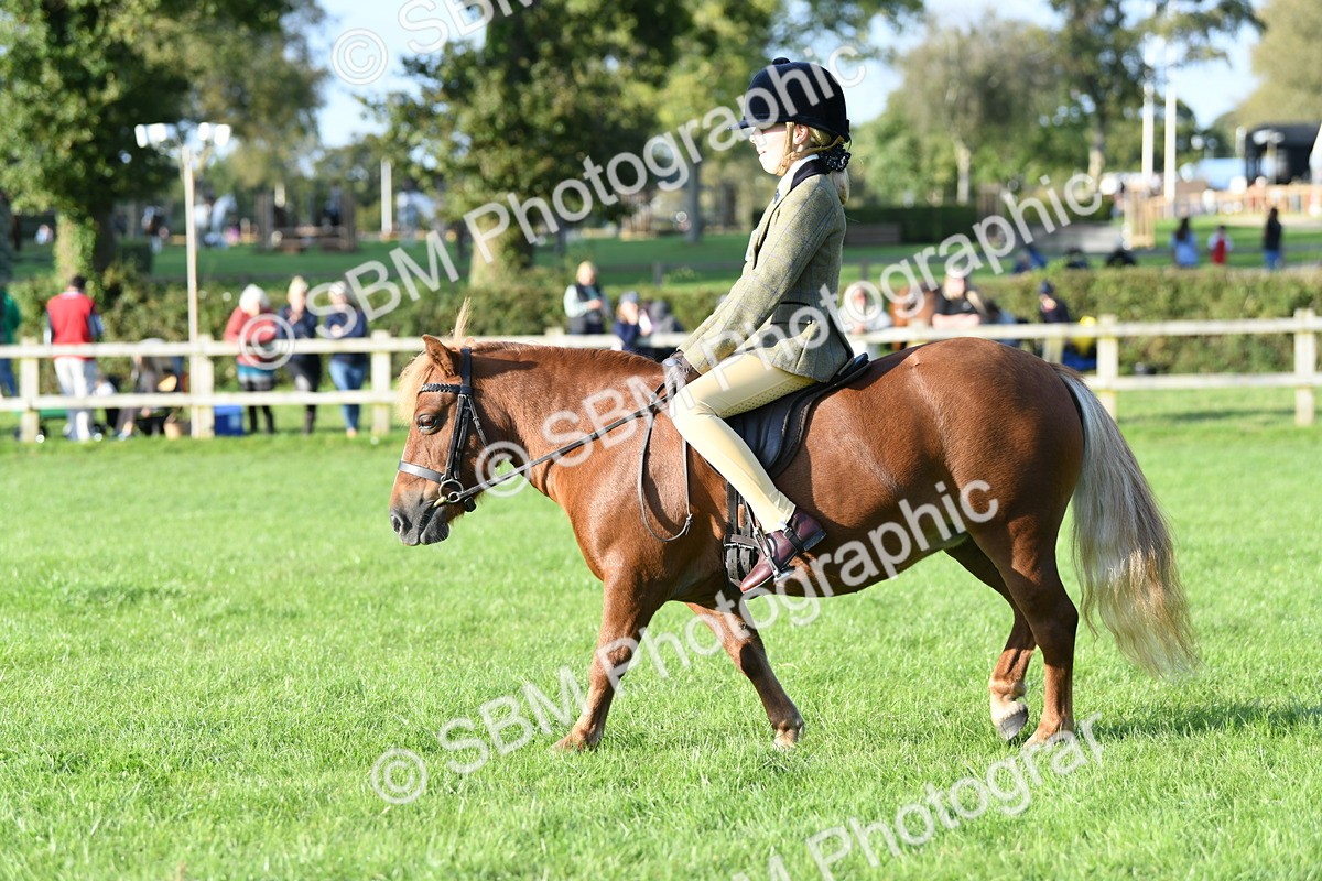SBM_54072 - S23 - 1st Ridden Mountain & Moorland Pony