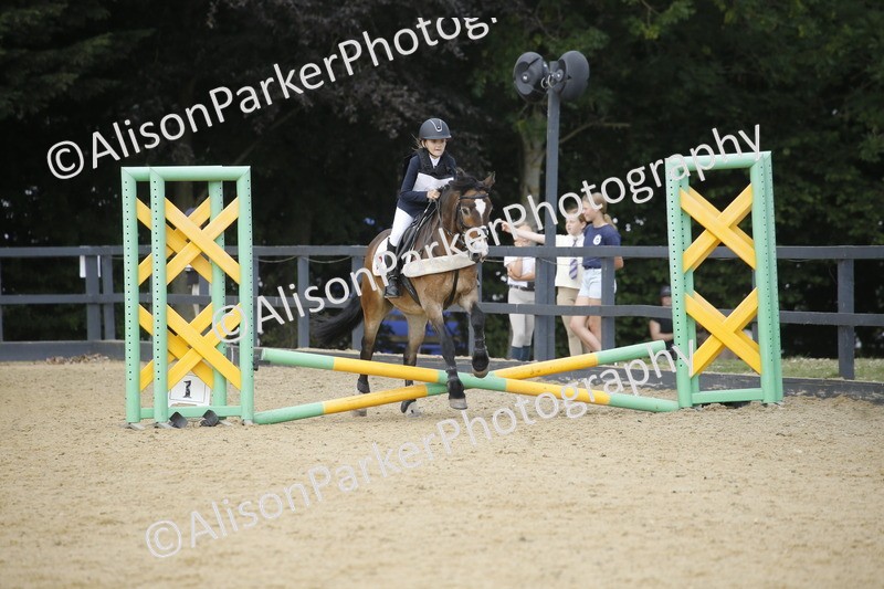 20250622-3889 - 50cm