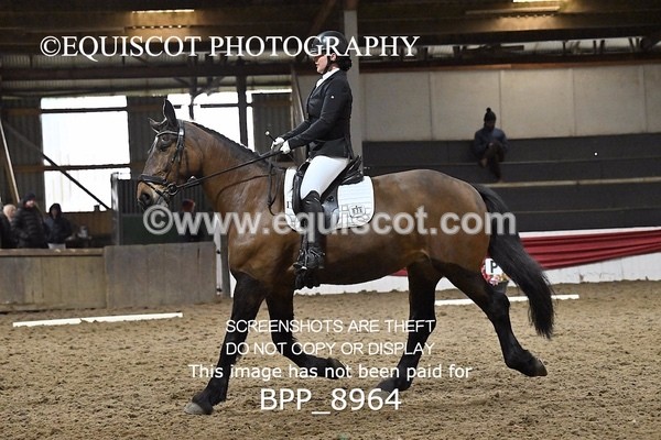 BPP_8964 - NOVICE 6