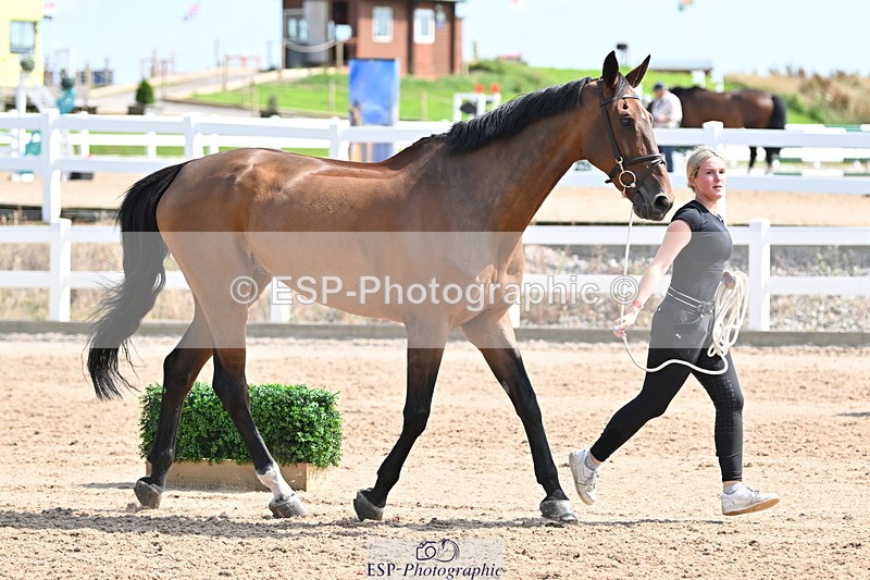 240717A-154514-03038 - Trot Up 3pm to 4pm