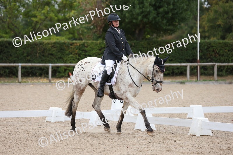 20250820-0283 - Class 9 - My Quest Prelim 3