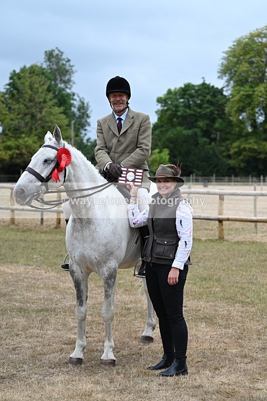 WJ7_1012 - Class 7 Riding Club Show Horse