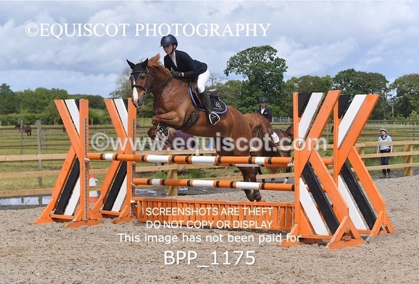 BPP_1175 - Senior Newcomers/ 1.10m Open