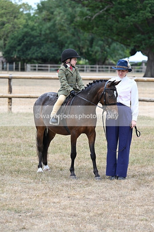 WJ7_0702 - Class 6 Ridden Mountain and Moorland