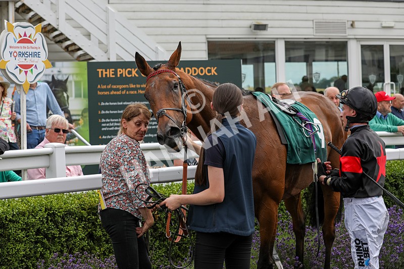 240724-Race 4-Swinging Eddie-3564 - Race 4