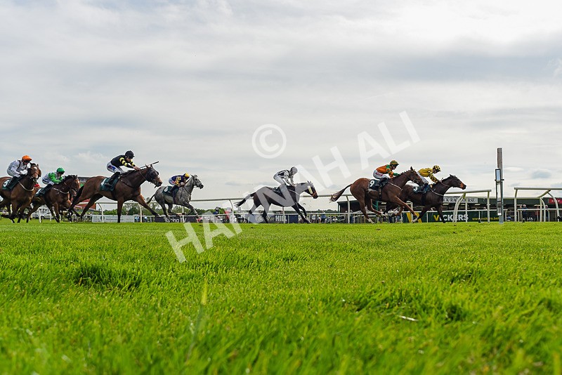 130524-Race 5-Sherdil-9482 - Race 5