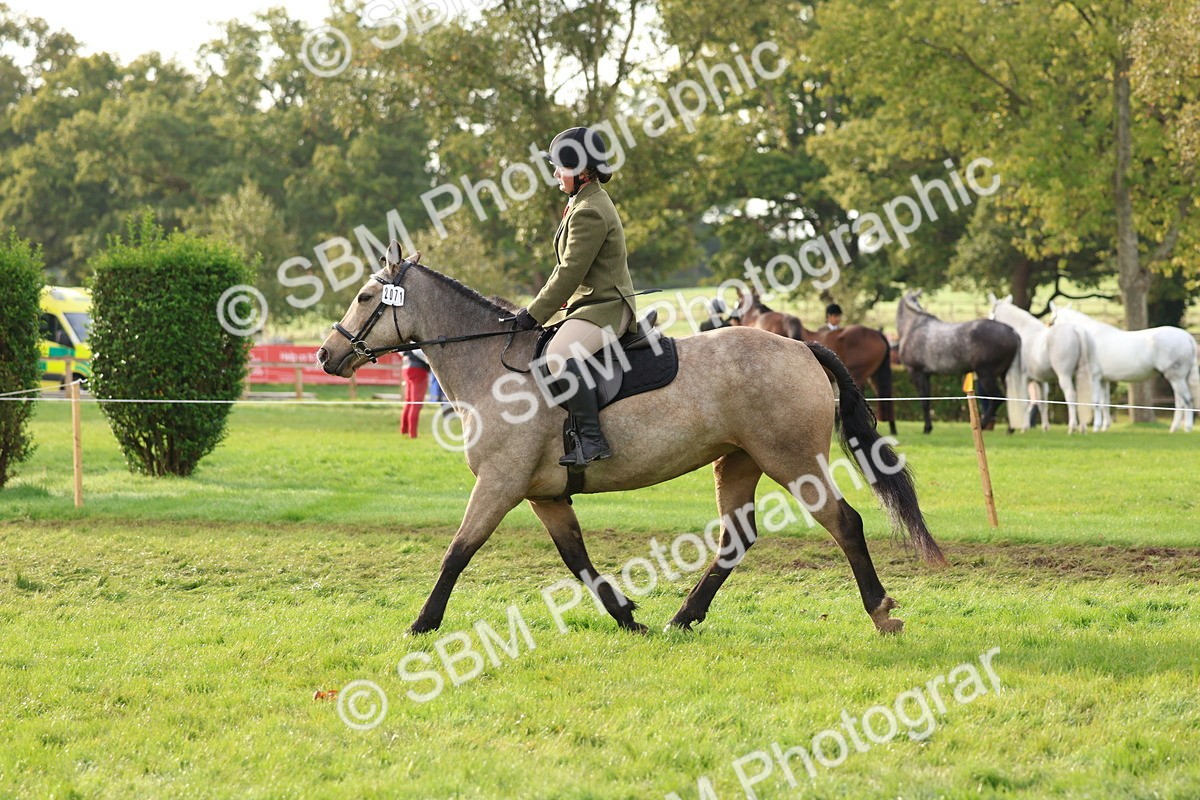 SBM_56609 - S40 - Starters Ridden Showing